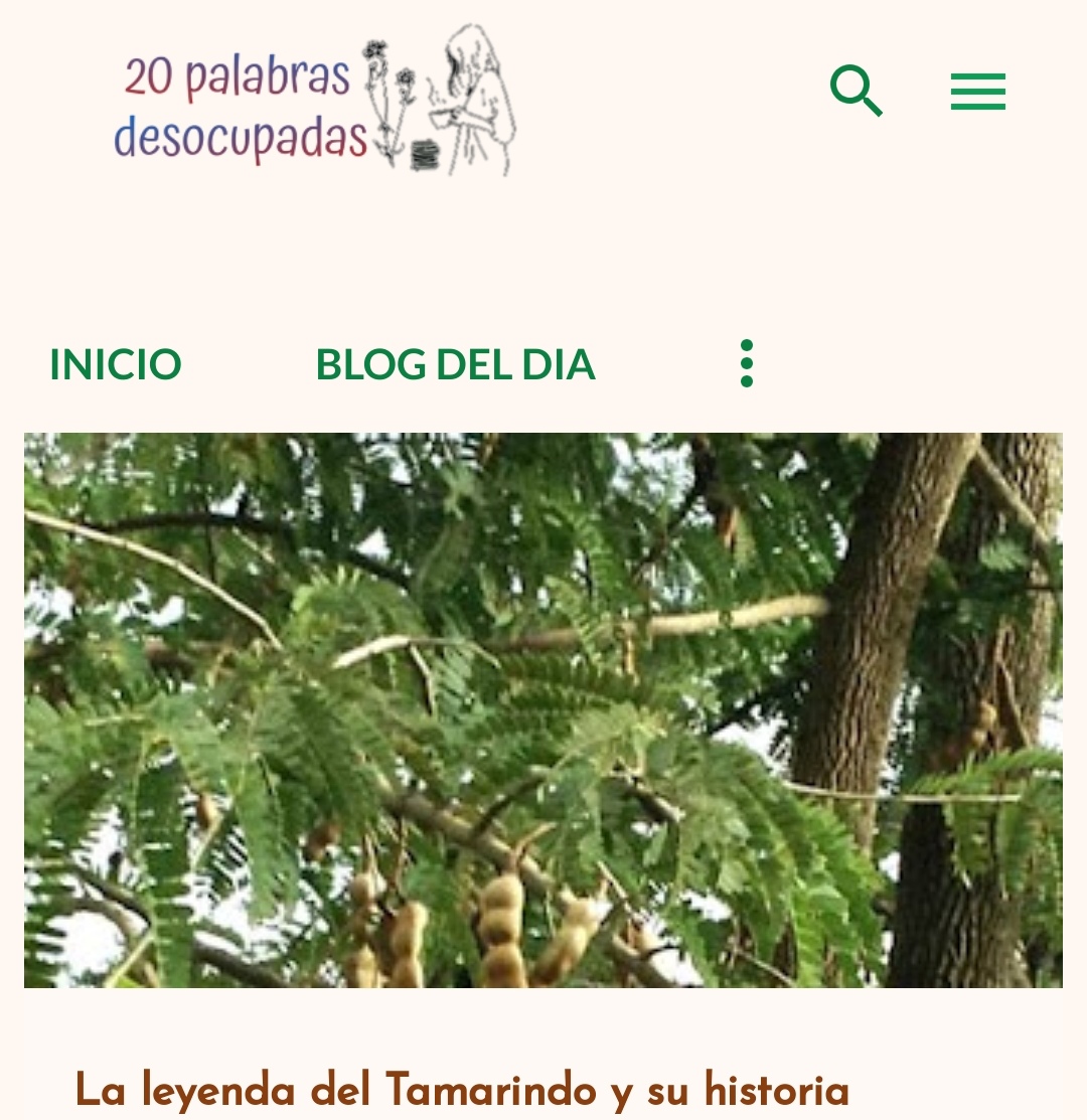 Buscador blog - 20 palabras desocupadas  en Bitakoras