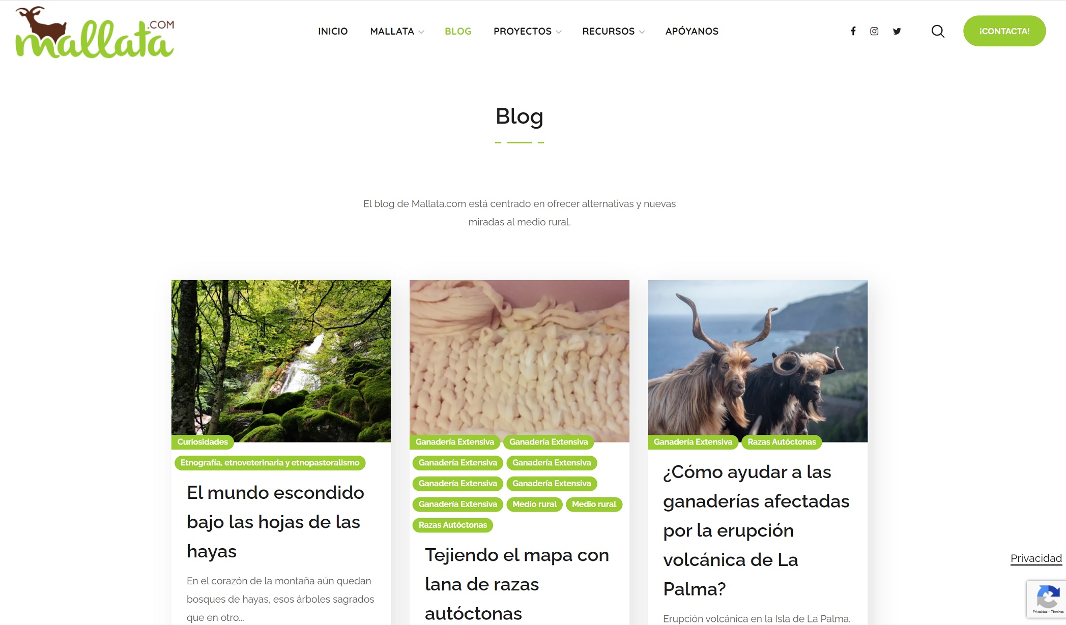 Buscador blog - Mallata en Bitakoras