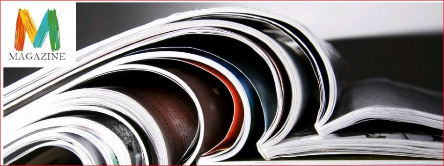 Buscador blog - Magazine   en Bitakoras