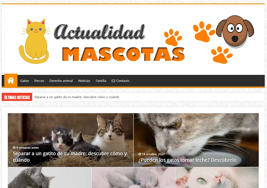 Buscador blog - Actualidad Mascotas en Bitakoras