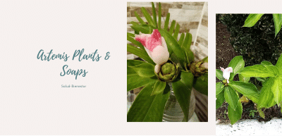 Buscador blog - Artemis Conexion Natural en Bitakoras