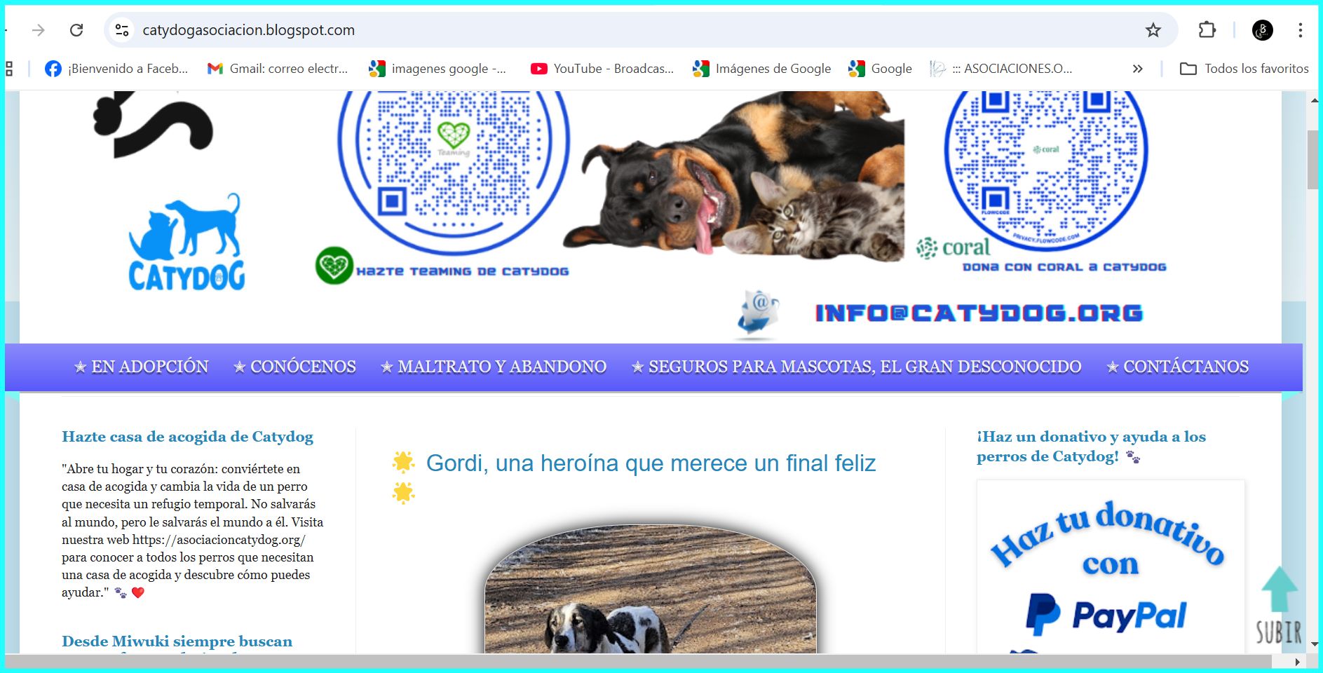 Buscador blog - Catydog en Bitakoras