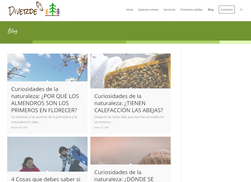 Buscador blog - Diverde en Bitakoras