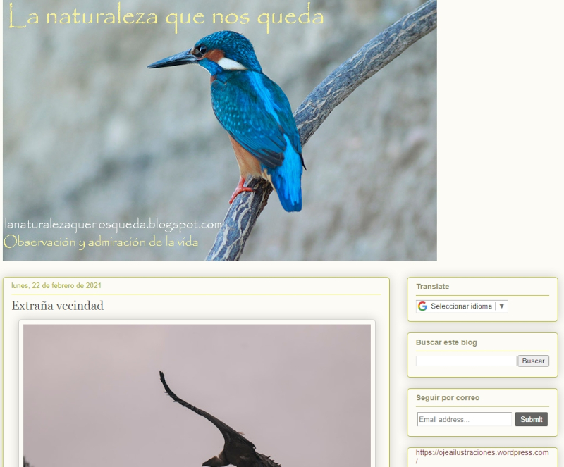 Buscador blog - La Naturaleza que nos Queda en Bitakoras