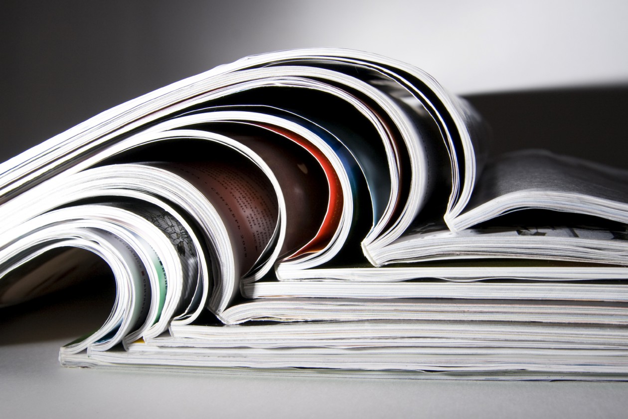 Buscador blog - Magazine II en Bitakoras