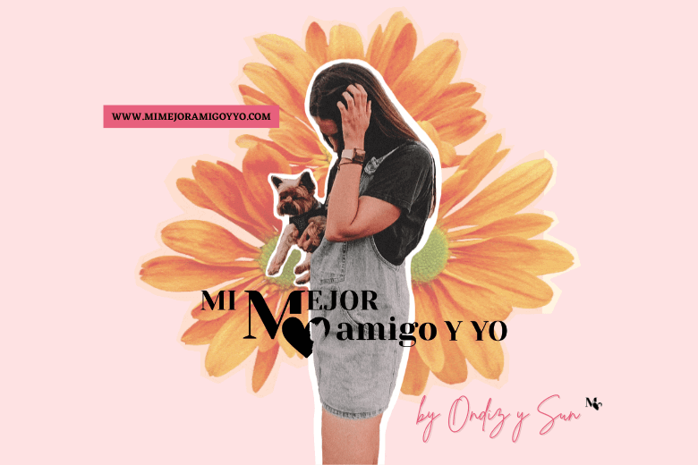 Buscador blog - Mi Mejor Amigo y Yo en Bitakoras