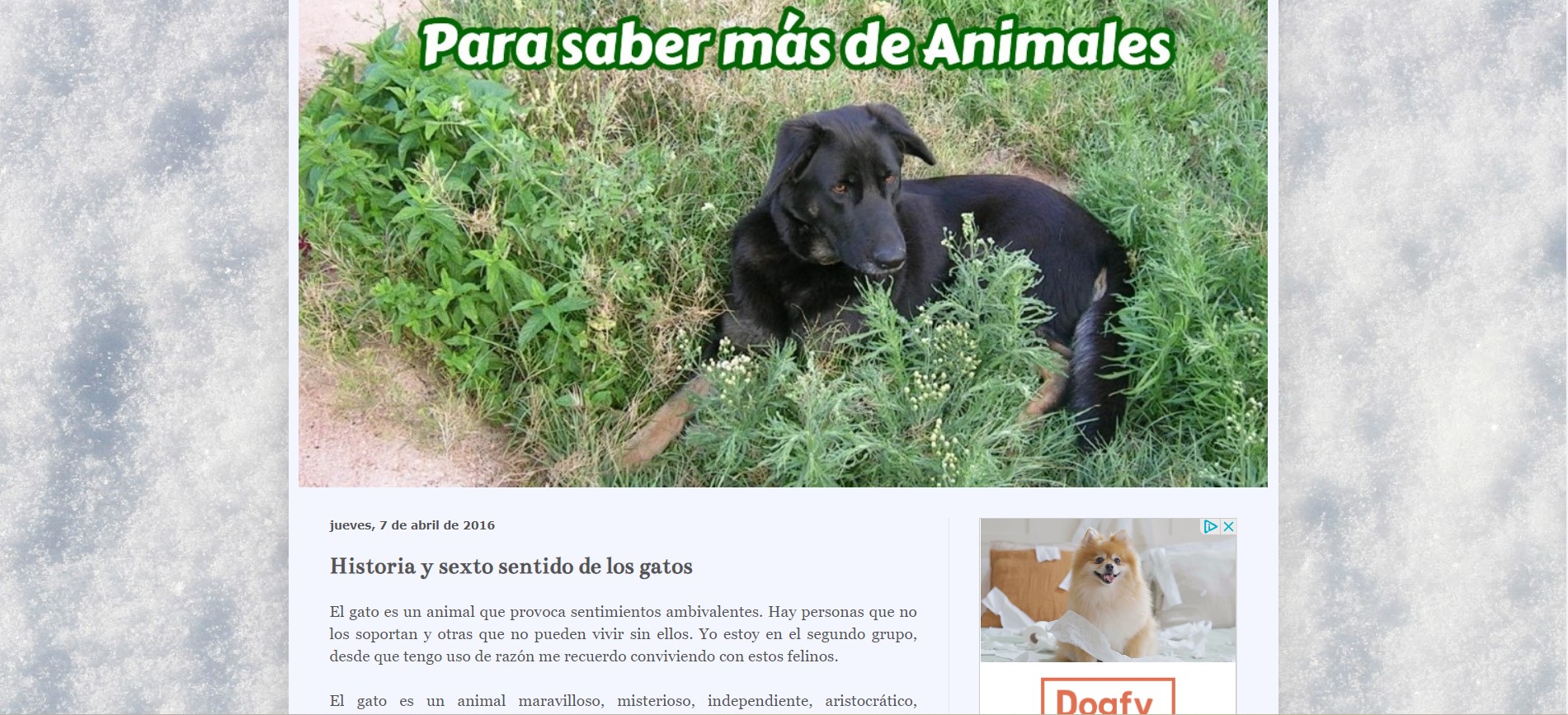 Buscador blog - Para Saber más de Animales en Bitakoras