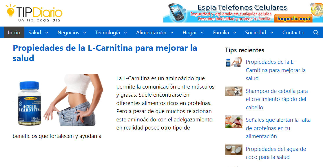 Buscador blog - Tip Diario en Bitakoras
